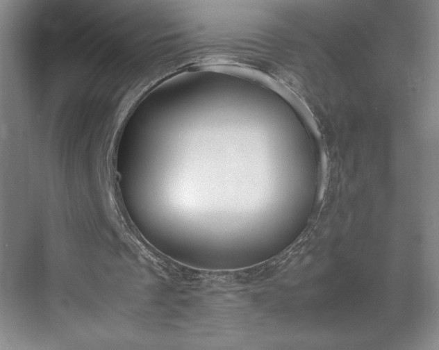 X0000071780289200607071437