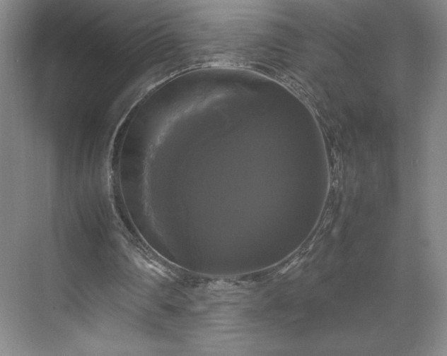 X0000071780290200607071437