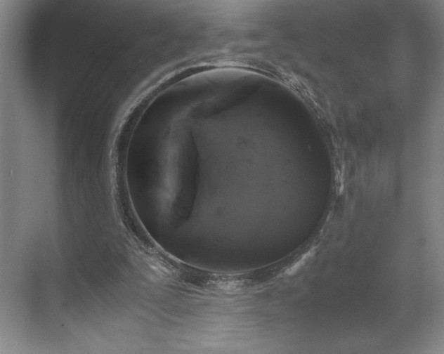 X0000071780295200607071437