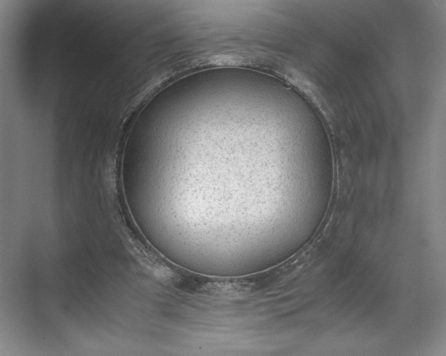 X0000071780297200607071437