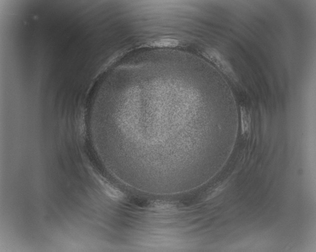 X0000071780300200607071437