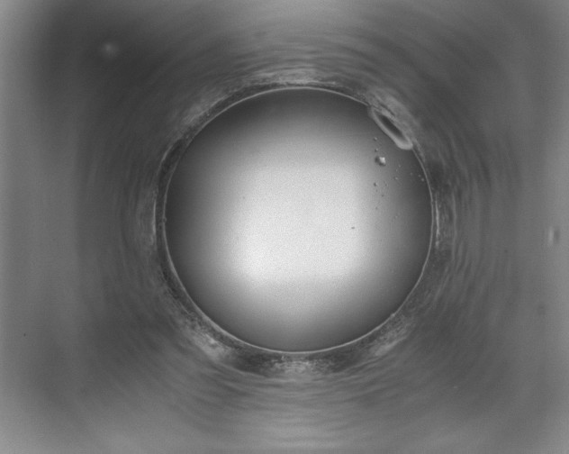 X0000071780301200607071437