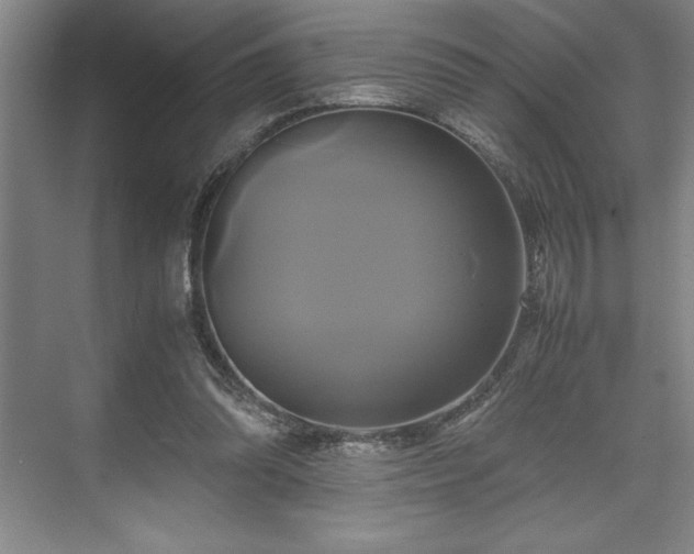 X0000071780302200607071437