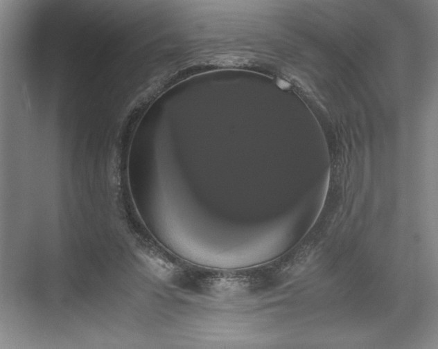 X0000071780303200607071437