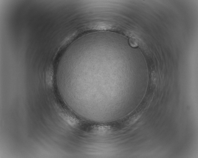 X0000071780304200607071437