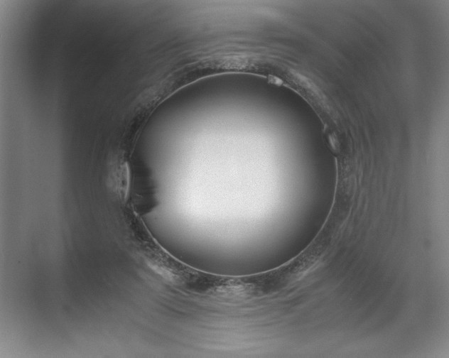 X0000071780307200607071436