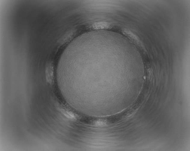 X0000071780308200607071436