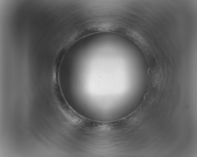 X0000071780310200607071436