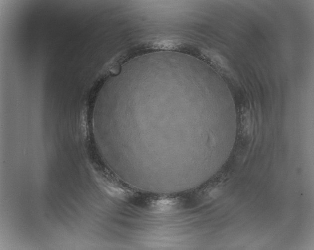 X0000071780312200607071436