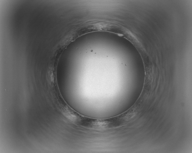 X0000071780313200607071436