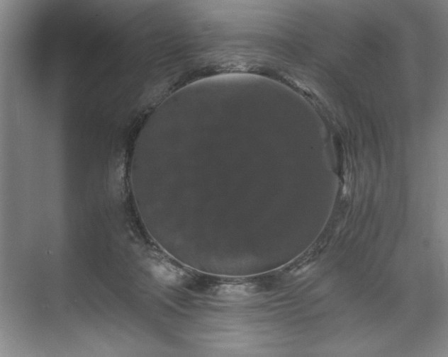 X0000071780314200607071436