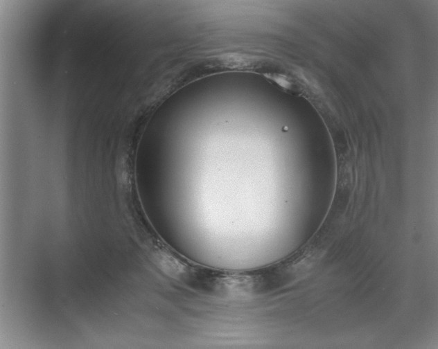 X0000071780317200607071436