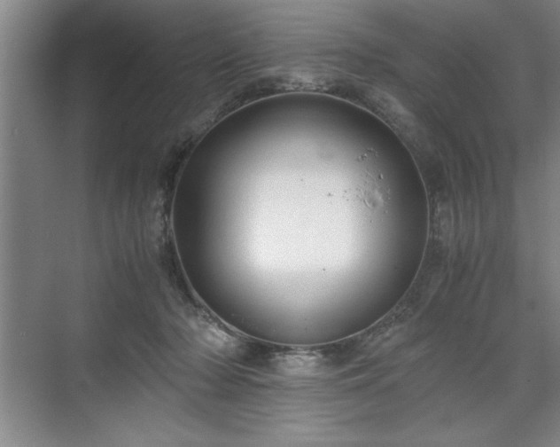 X0000071780318200607071436