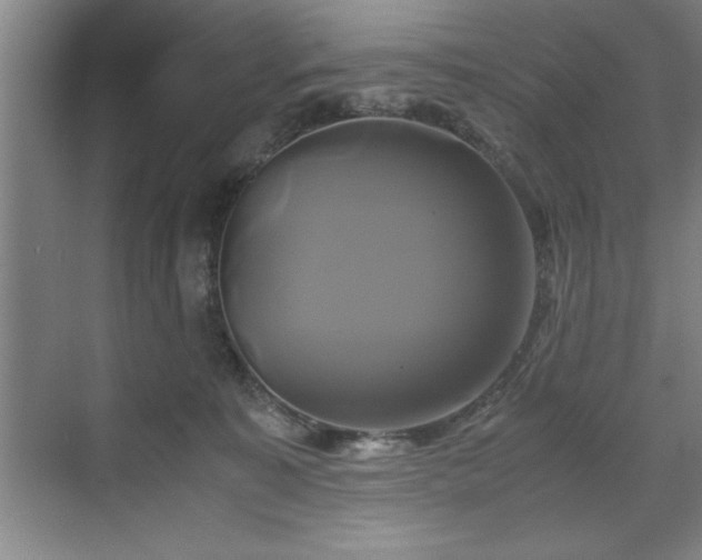 X0000071780323200607071436