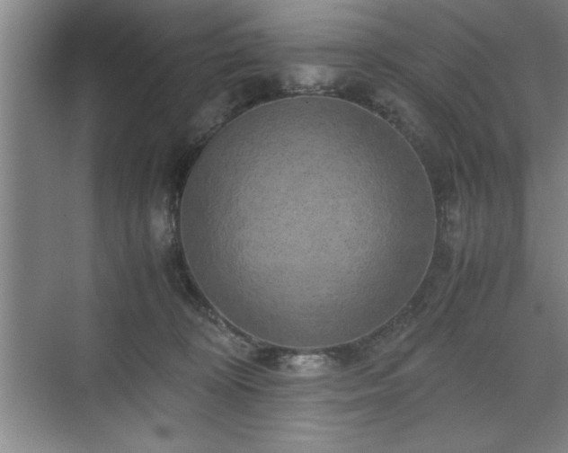 X0000071780324200607071436