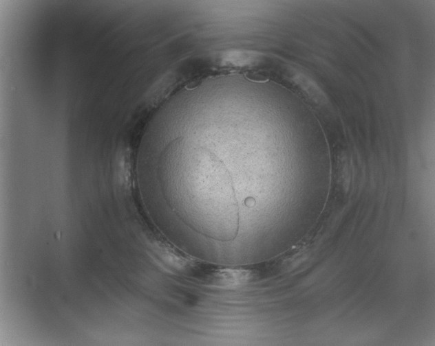 X0000071780328200607071436