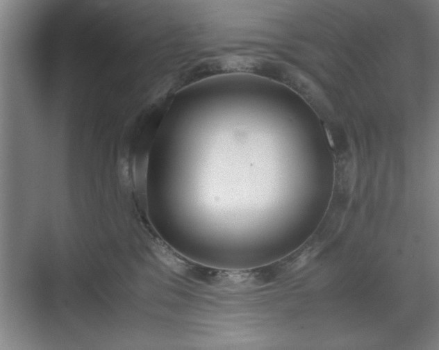 X0000071780329200607071436