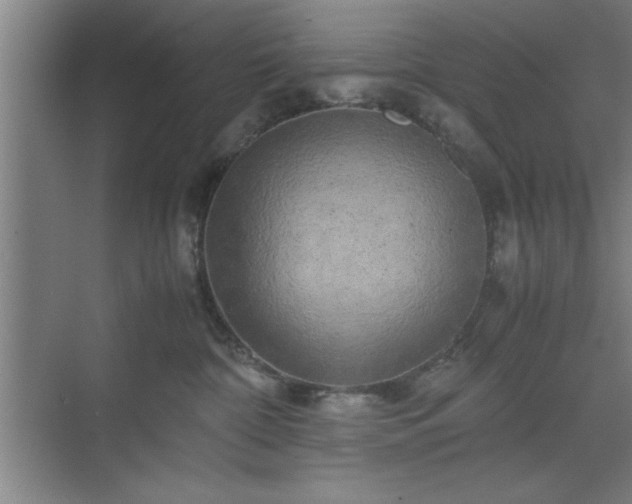 X0000071780332200607071436