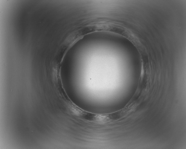 X0000071780333200607071436