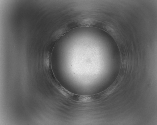 X0000071780334200607071436