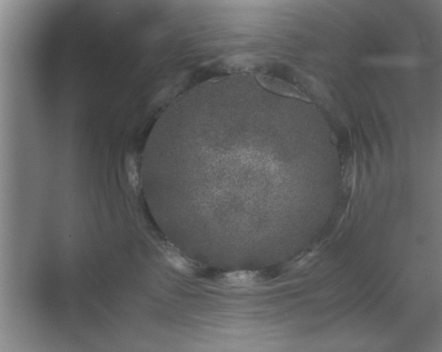 X0000071780335200607071436