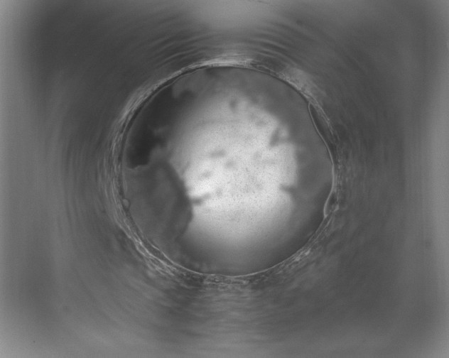 X0000071780337200607071435