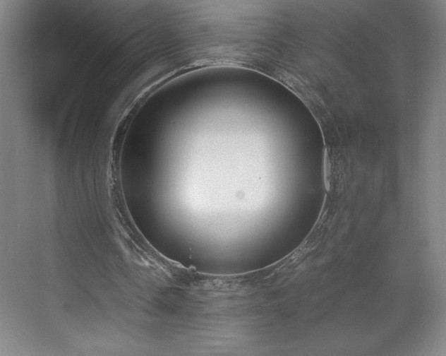 X0000071780338200607071435