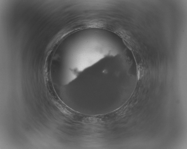 X0000071780339200607071435