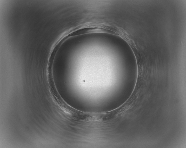 X0000071780340200607071435