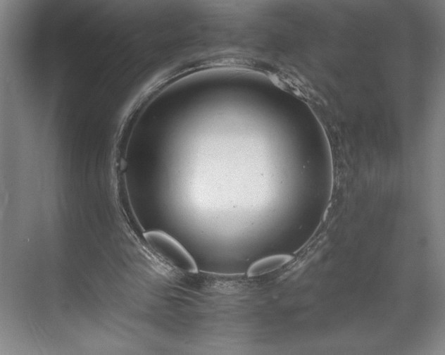 X0000071780341200607071435