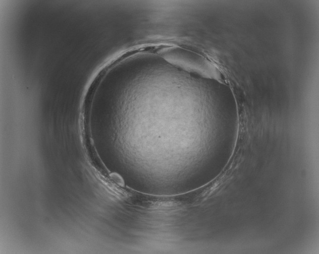 X0000071780342200607071435