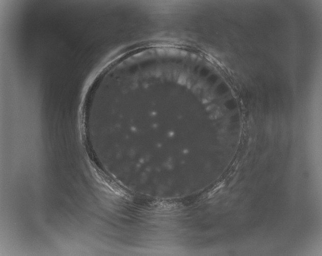 X0000071780343200607071435