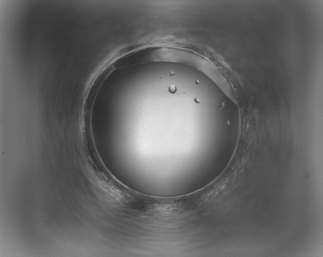 X0000071780344200607071435