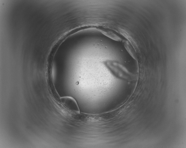 X0000071780346200607071435