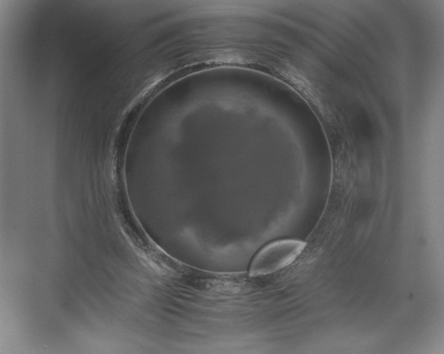 X0000071780347200607071435