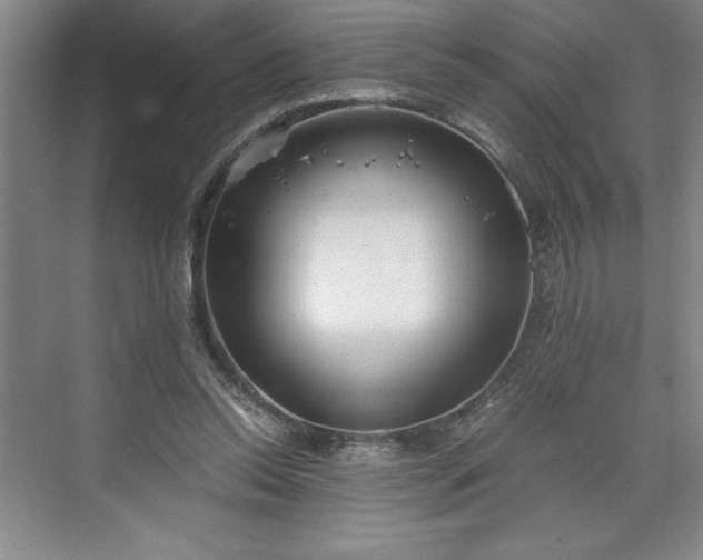 X0000071780350200607071435