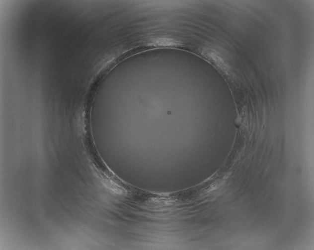 X0000071780351200607071435