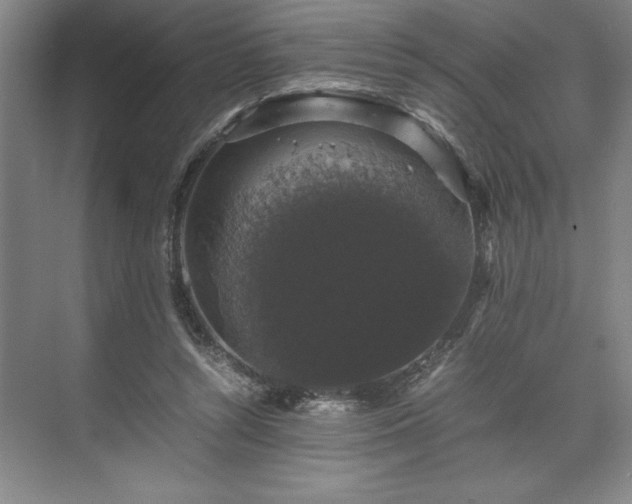 X0000071780352200607071435