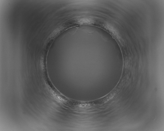 X0000071780353200607071435