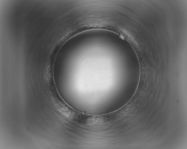 X0000071780354200607071435