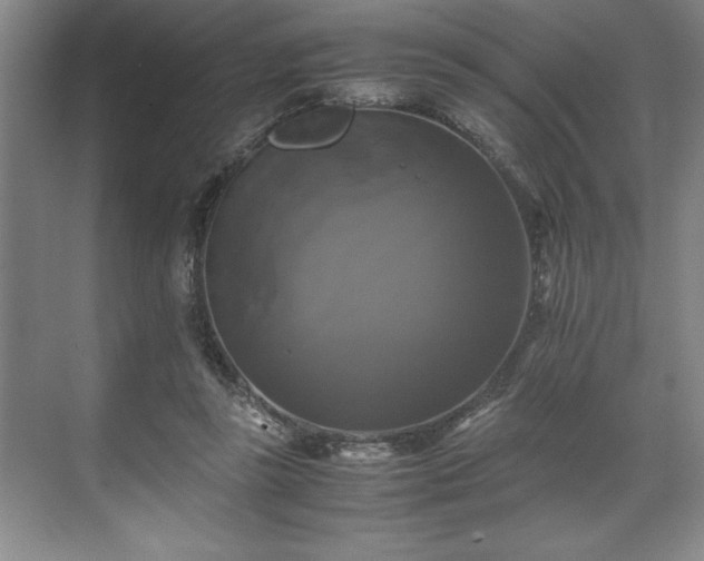 X0000071780355200607071436