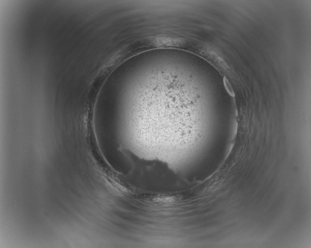 X0000071780357200607071436