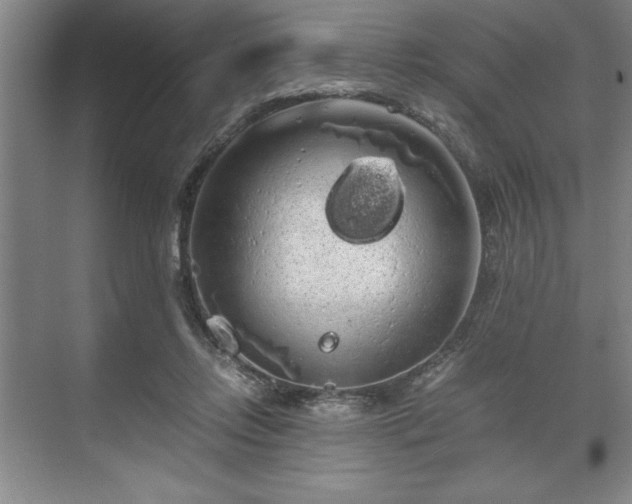 X0000071780358200607071436