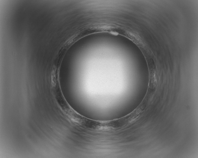 X0000071780360200607071436