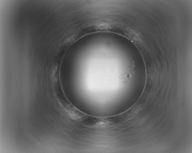 X0000071780364200607071436