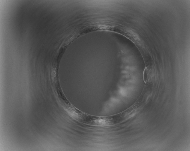 X0000071780365200607071436