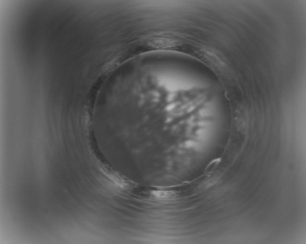 X0000071780371200607071436