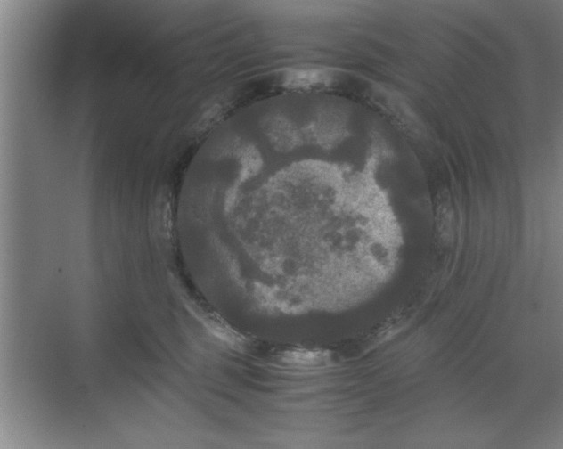 X0000071780375200607071436