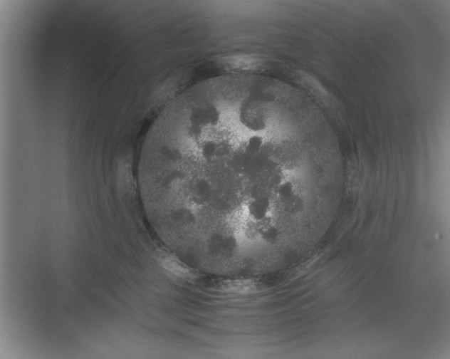 X0000071780377200607071436