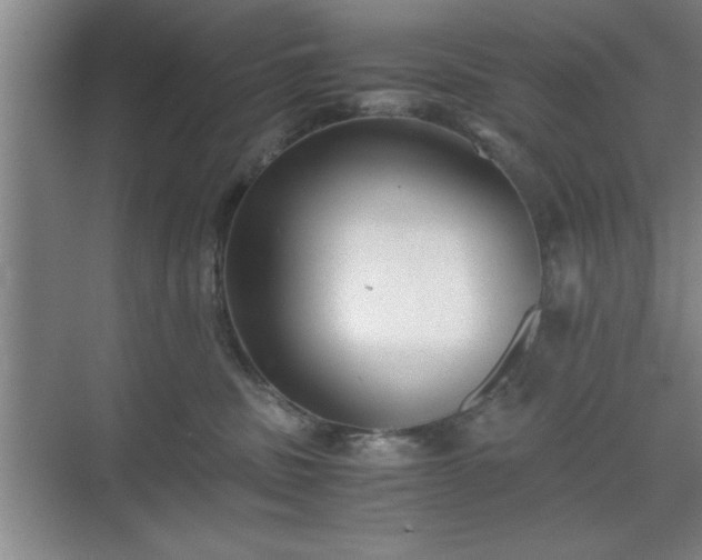 X0000071780379200607071436